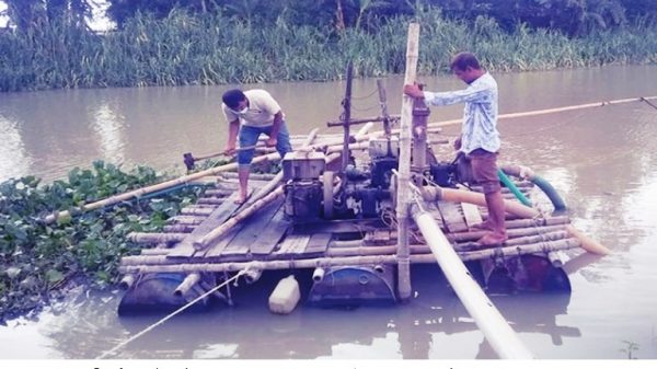 Mirzapur Dreger Pic 11 06 2020